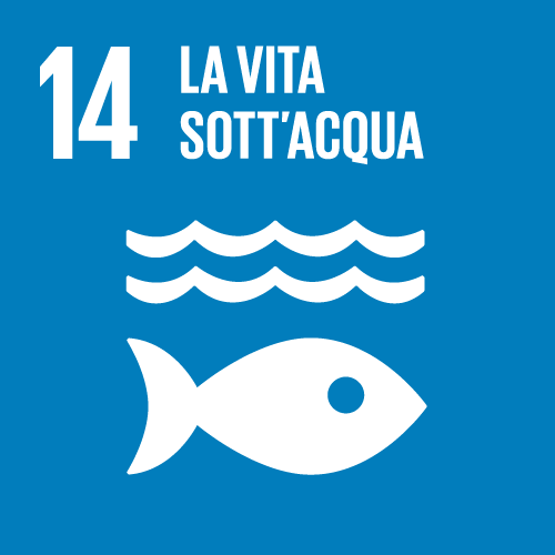 14. La vita sott'acqua